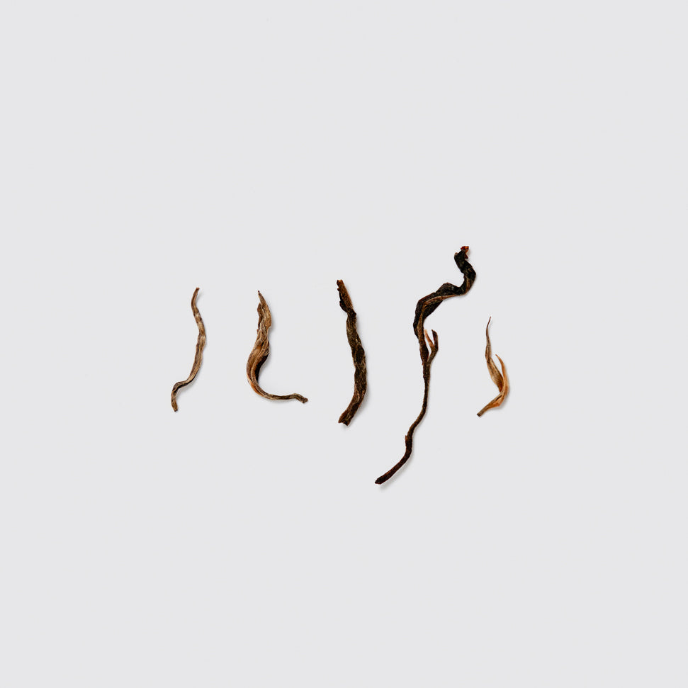 2018 봄, 망지 고수생차