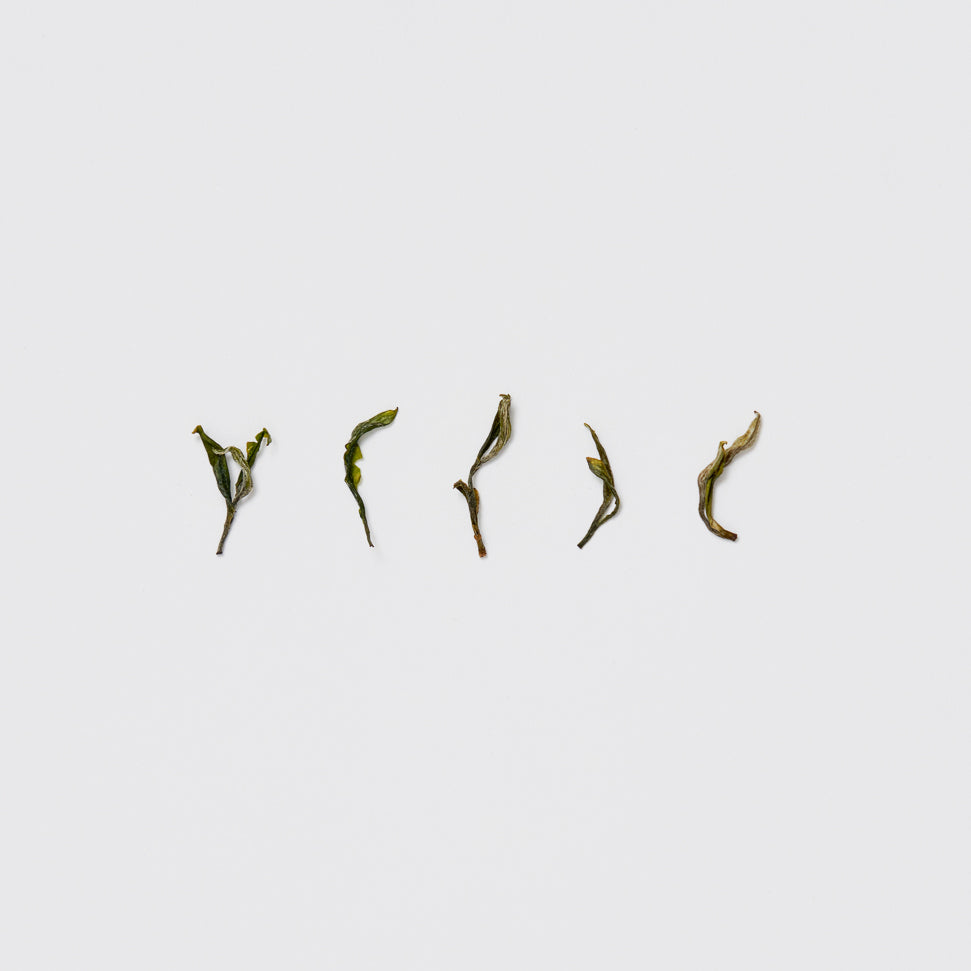 하동 화개 녹차