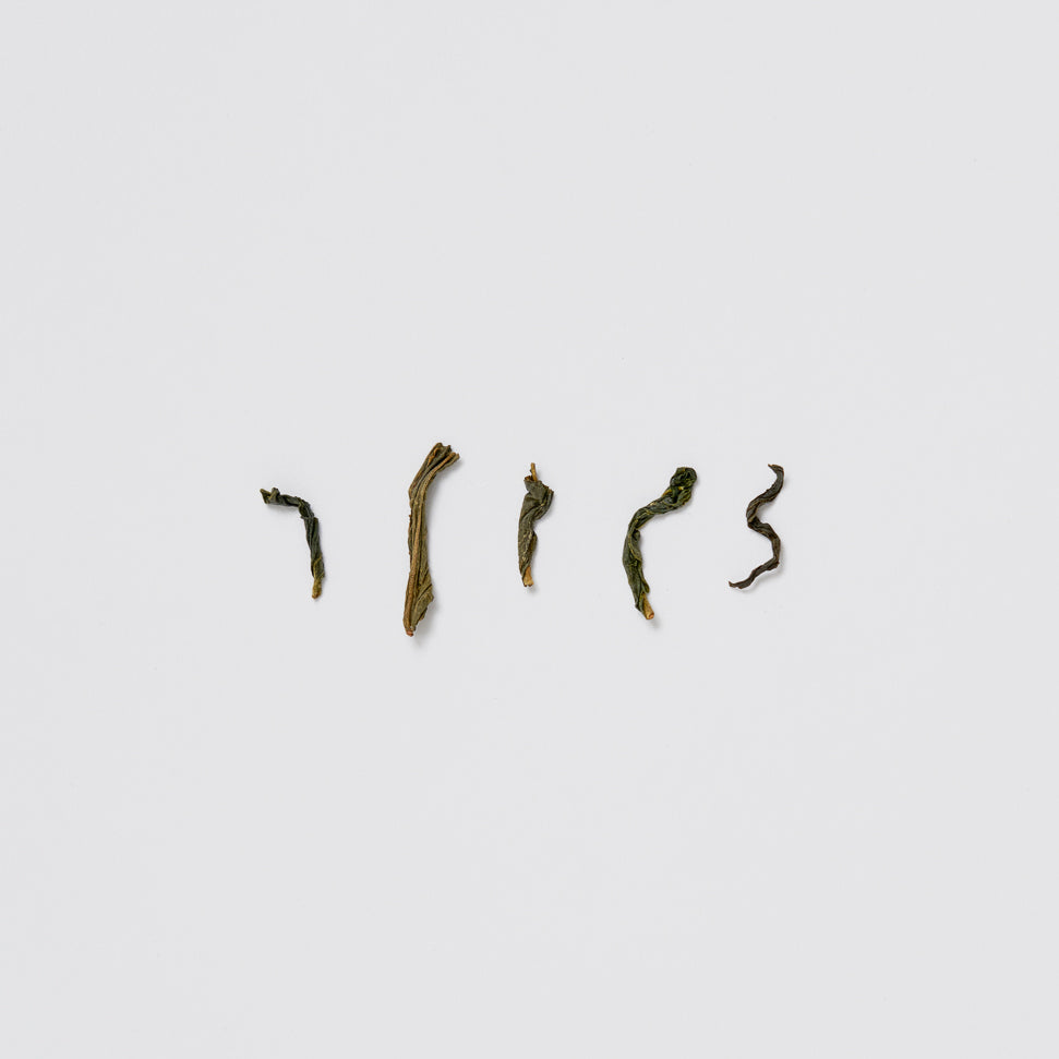 제주 거문오름 호지차