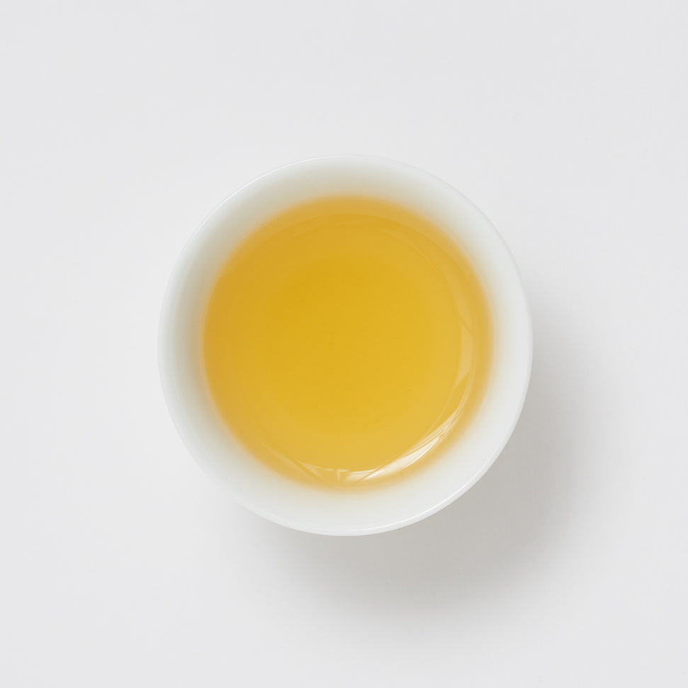 제주 거문오름 호지차