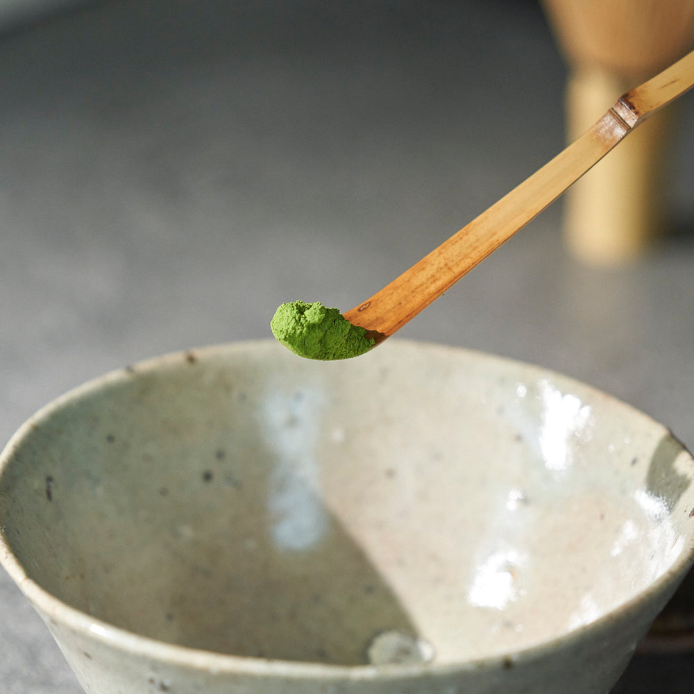 제주 프리미엄 말차